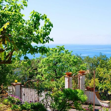 B&B La Casa Del Gelso Акуафредда Экстерьер фото