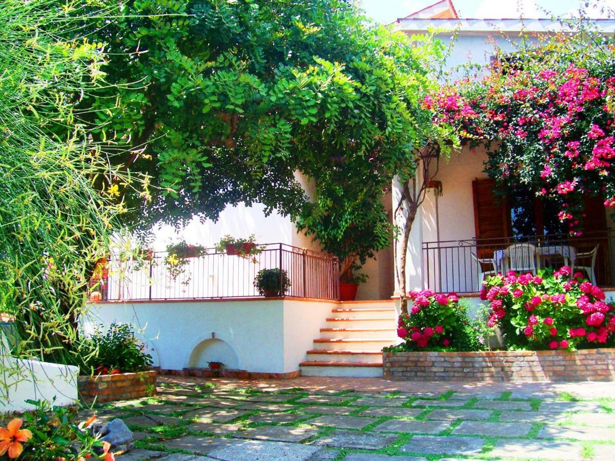 B&B La Casa Del Gelso Акуафредда Экстерьер фото