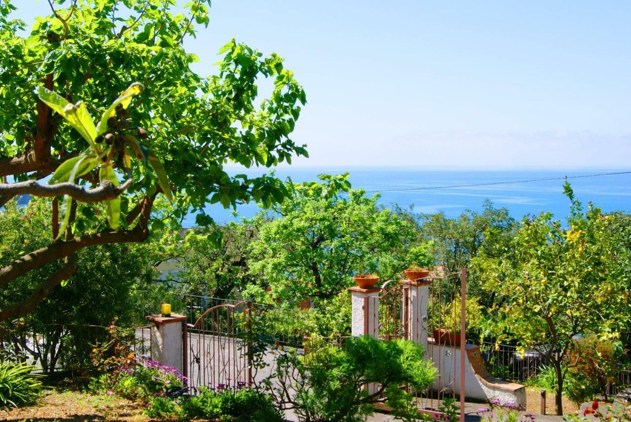 B&B La Casa Del Gelso Акуафредда Экстерьер фото