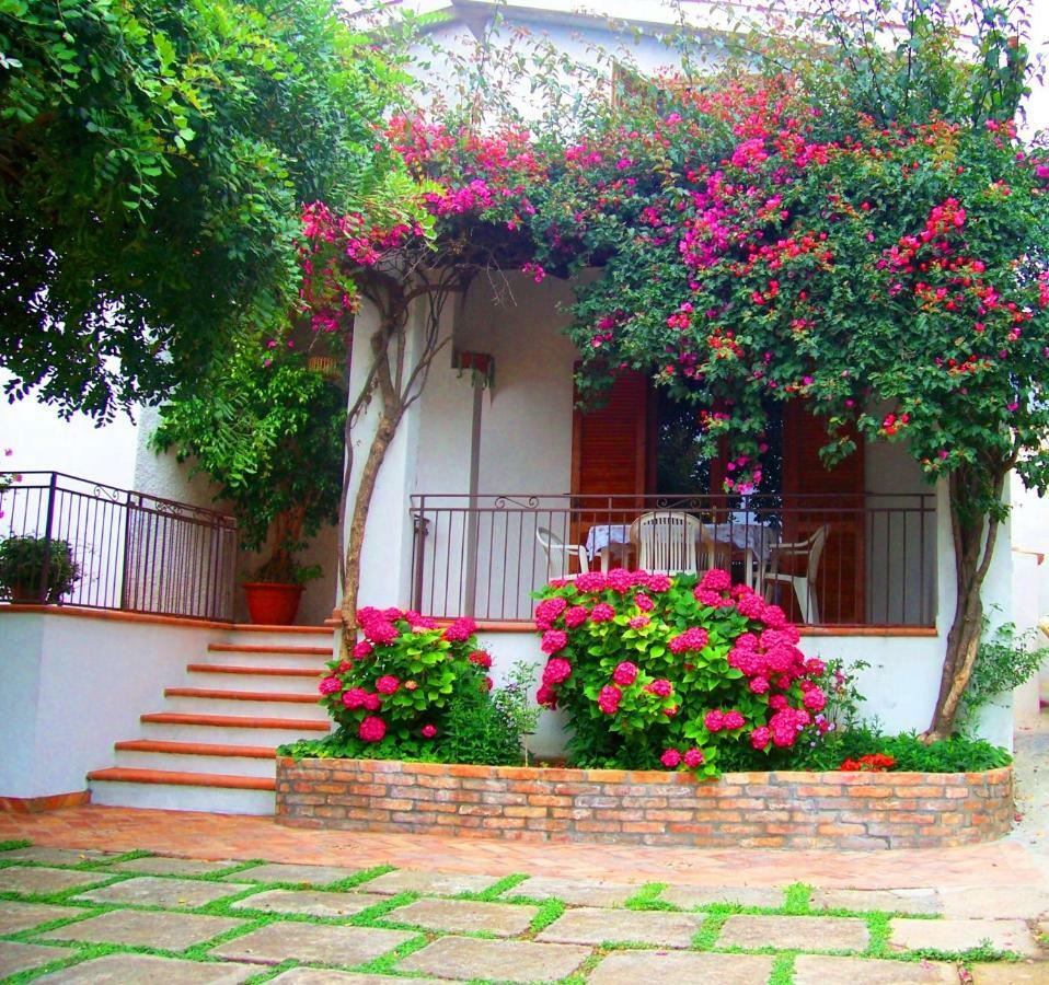 B&B La Casa Del Gelso Акуафредда Экстерьер фото
