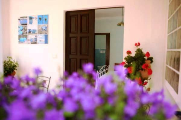 B&B La Casa Del Gelso Акуафредда Экстерьер фото