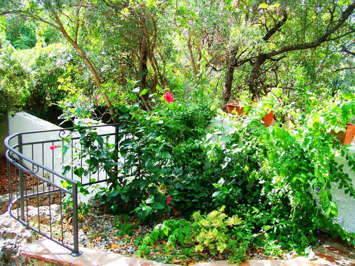 B&B La Casa Del Gelso Акуафредда Экстерьер фото