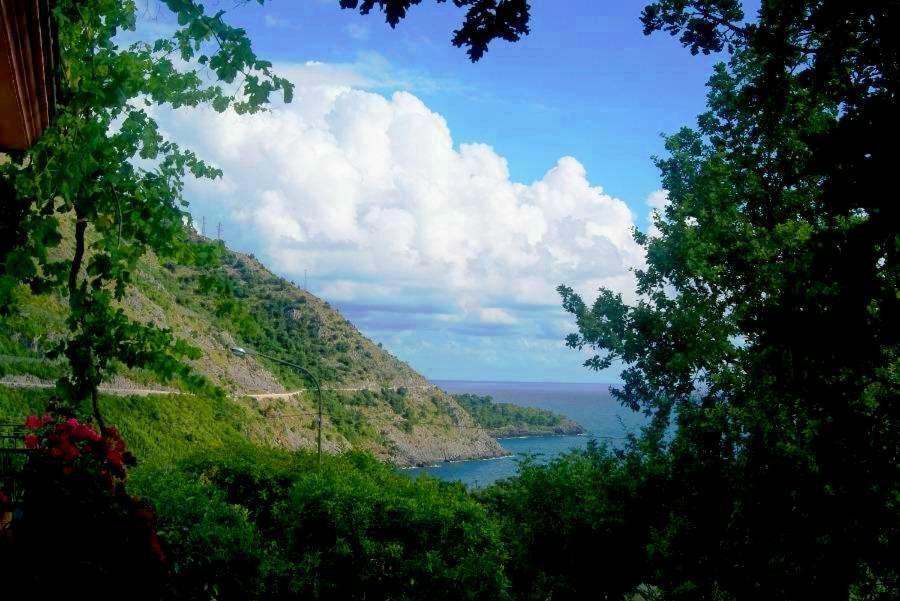 B&B La Casa Del Gelso Акуафредда Экстерьер фото