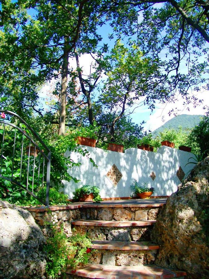 B&B La Casa Del Gelso Акуафредда Экстерьер фото
