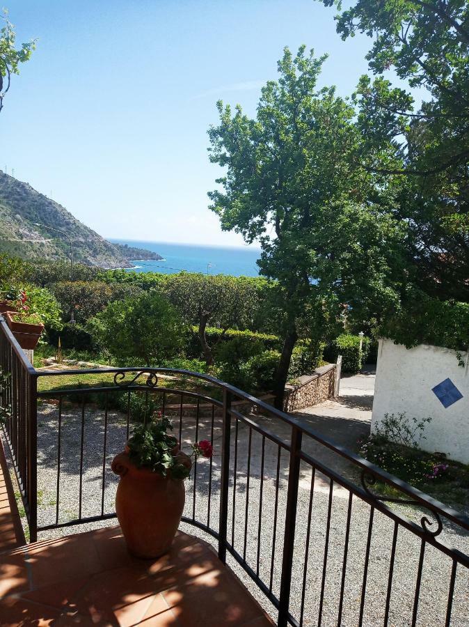 B&B La Casa Del Gelso Акуафредда Экстерьер фото
