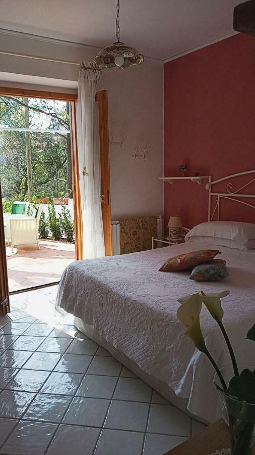 B&B La Casa Del Gelso Акуафредда Экстерьер фото