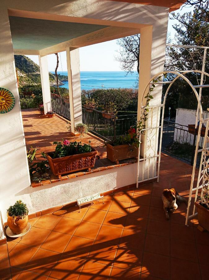B&B La Casa Del Gelso Акуафредда Экстерьер фото