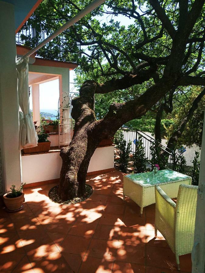 B&B La Casa Del Gelso Акуафредда Экстерьер фото