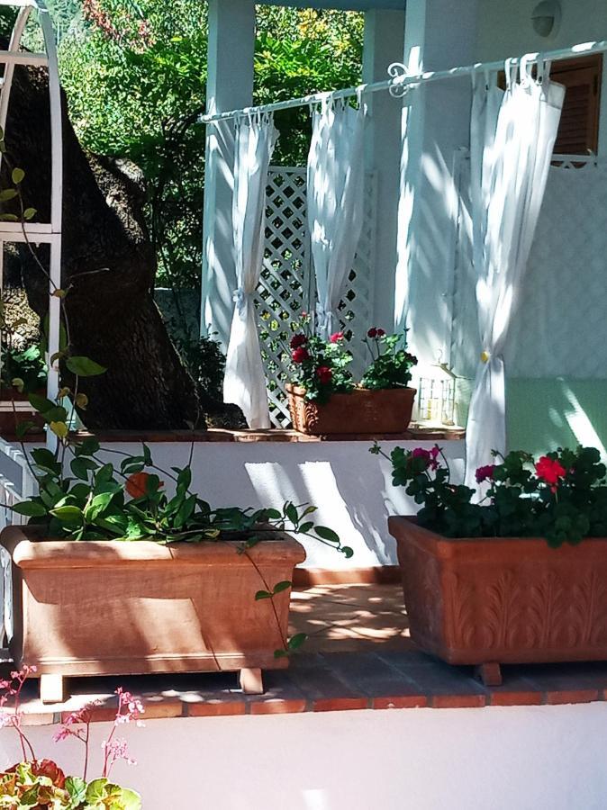 B&B La Casa Del Gelso Акуафредда Экстерьер фото